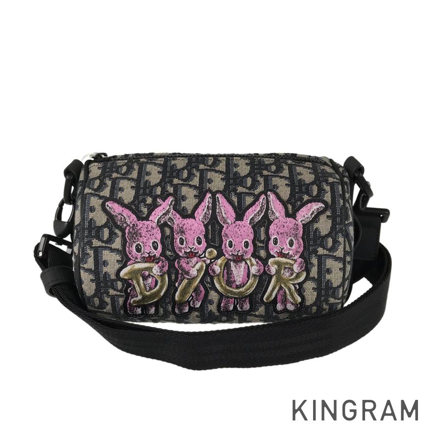 Dior Oblique Rabbit Mini Roller Shoulder bag