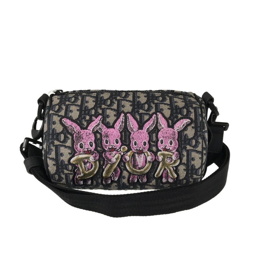 Dior Oblique Rabbit Mini Roller Shoulder bag | eBay