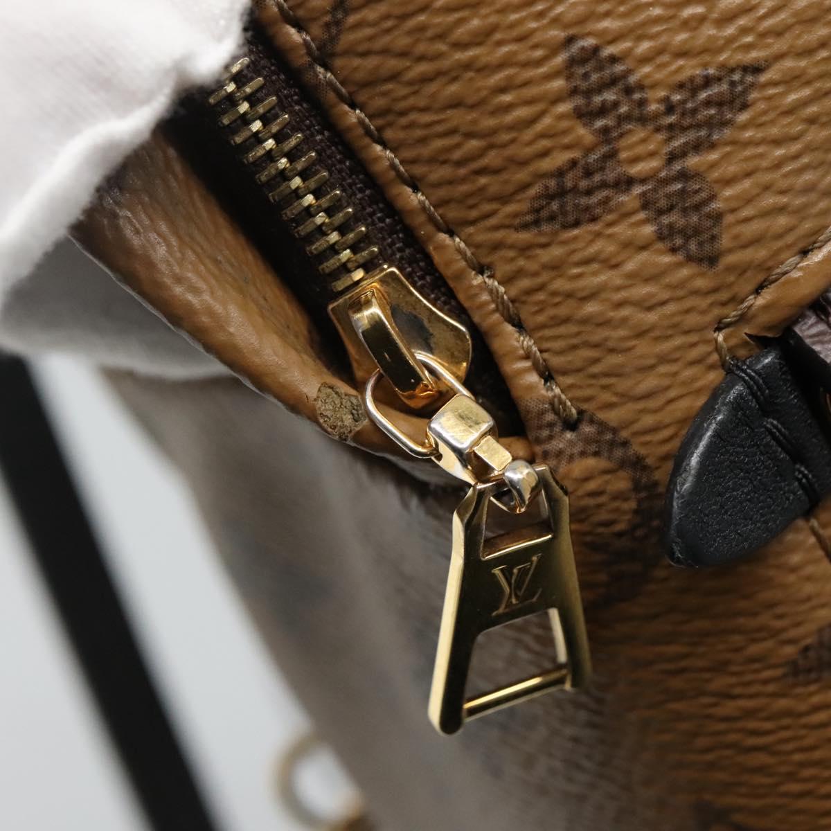LOUIS VUITTON Monogram Reverse Palm Springs Mini Backpack  display picture 1