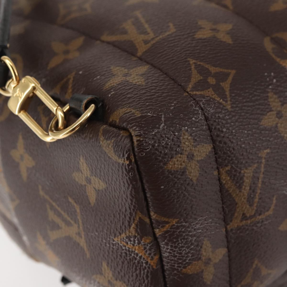 LOUIS VUITTON Monogram Palm Springs MINI Backpack M44873 LV  display picture 3