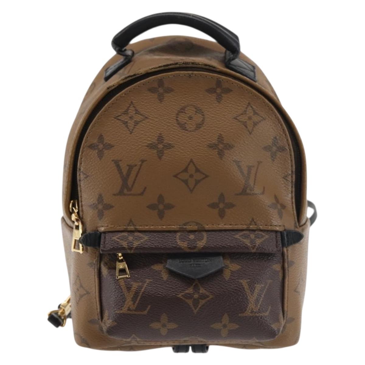 LOUIS VUITTON Monogram Reverse Palm Springs MINI Backpack  display picture 3
