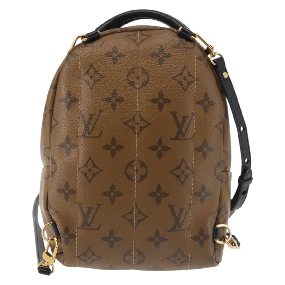 LOUIS VUITTON Monogram Reverse Palm Springs MINI Backpack  display picture 2