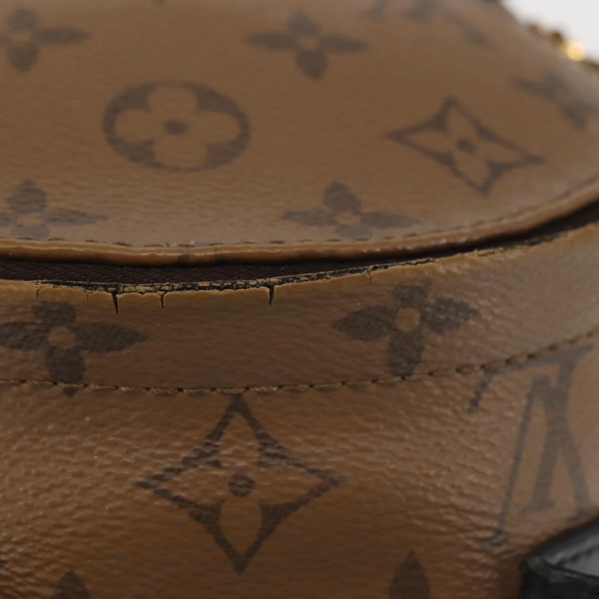 LOUIS VUITTON Monogram Reverse Palm Springs MINI Backpack  display picture 3