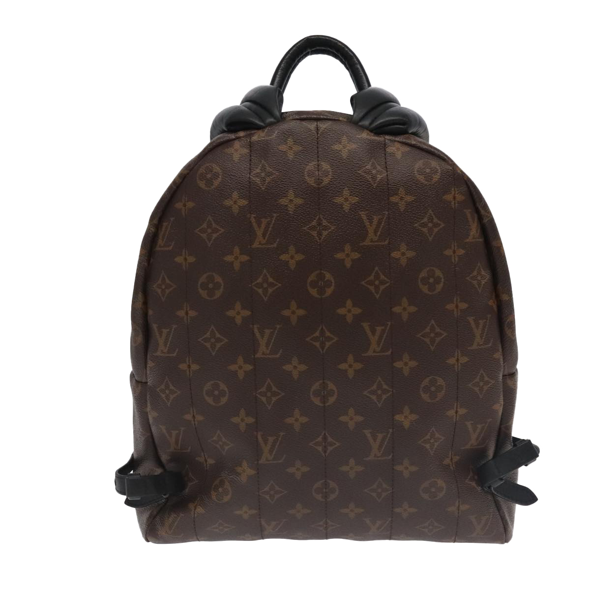 LOUIS VUITTON Monogram Palm Springs MM Backpack M44874 LV Auth