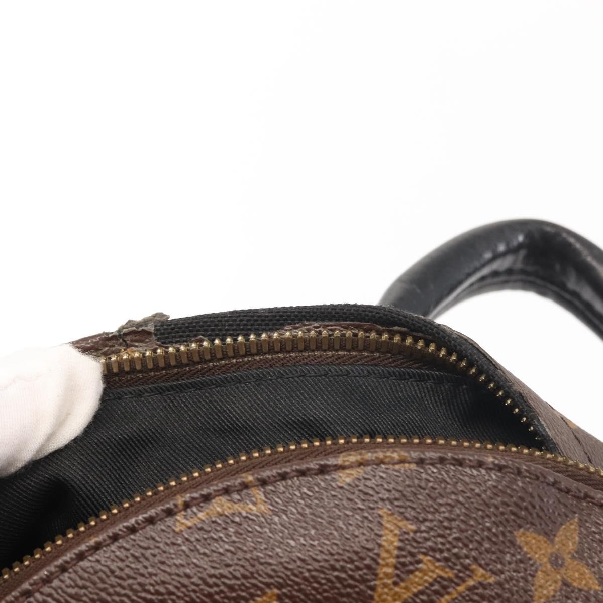 LOUIS VUITTON Monogram Reverse Palm Springs PM Backpack  display picture 1