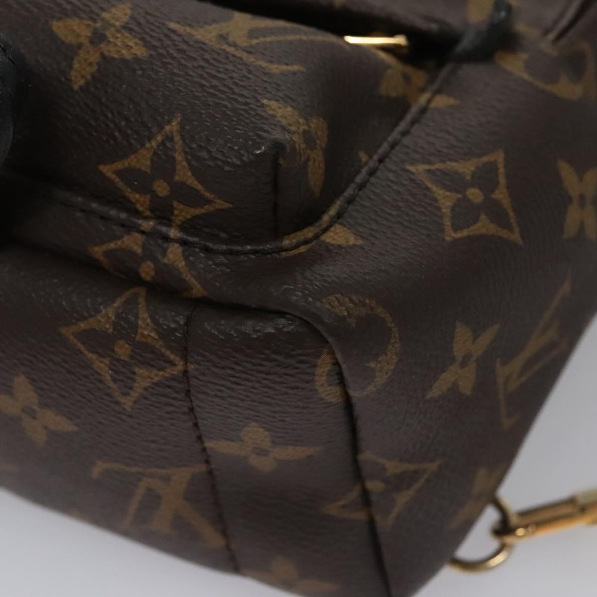 LOUIS VUITTON Monogram Palm Springs MINI Backpack M41562 LV  display picture 1