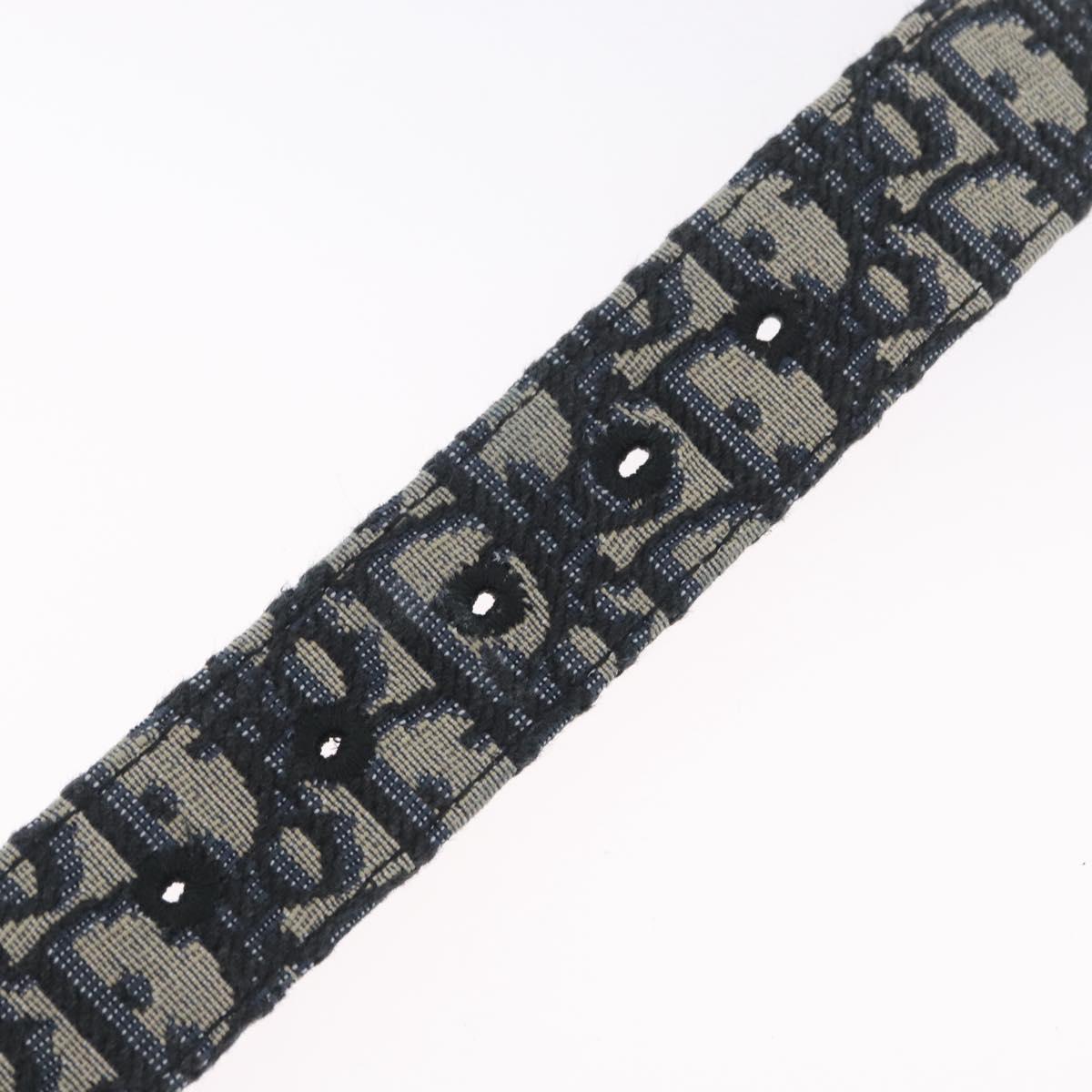 小物 Dior CD Logo Trotter Pattern Belt y2k Christian Dior Oblique Trotter Canvas Belt 40.2