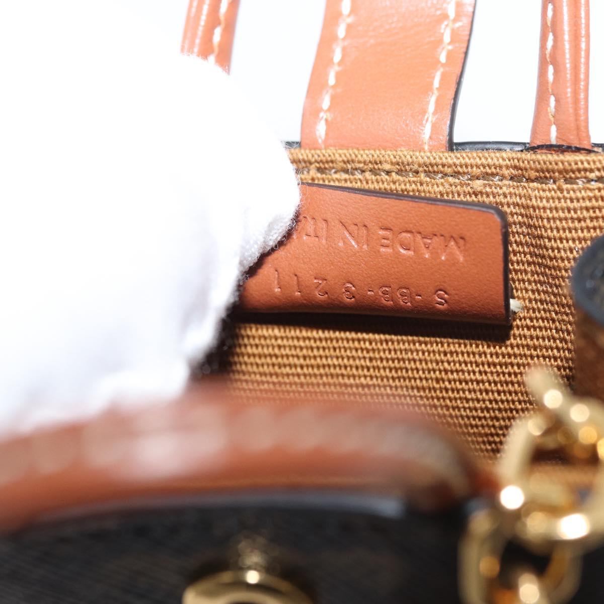 CELINE Triomphe Canvas Micro Vertical Cabas Charm PVC Brown Gold