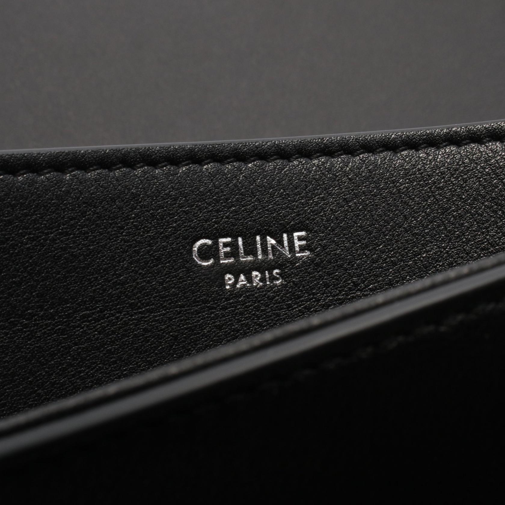 CELINE Triomphe crossbody Shoulder Bag 114453FH138SI leather