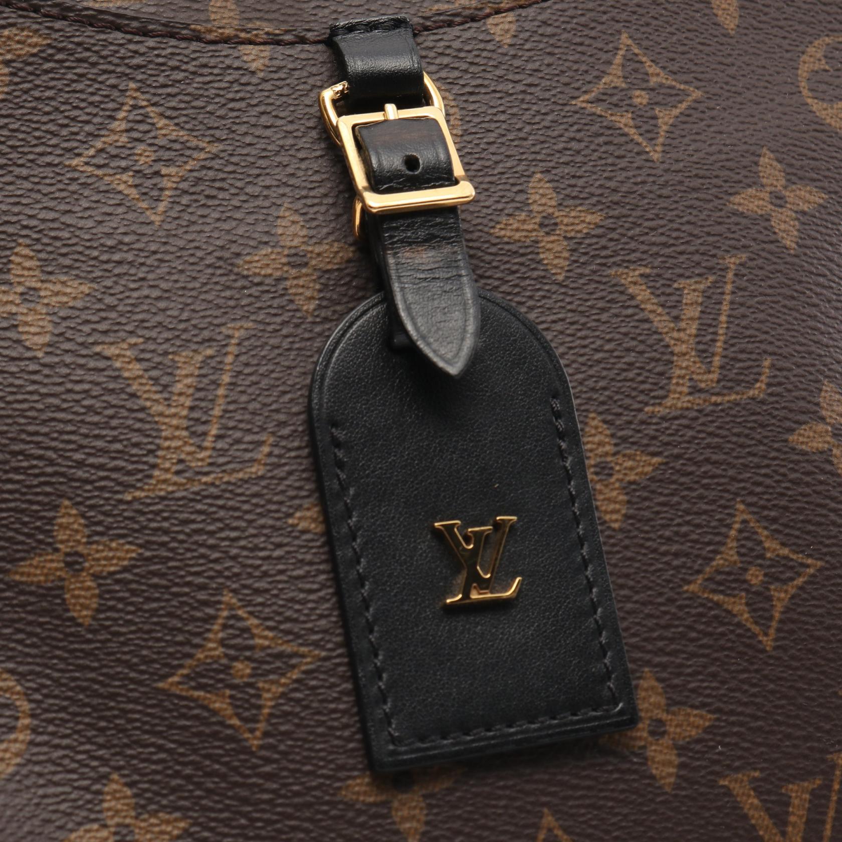 LOUIS VUITTON Odeon NM PM Shoulder Bag M45353 Monogram canvas