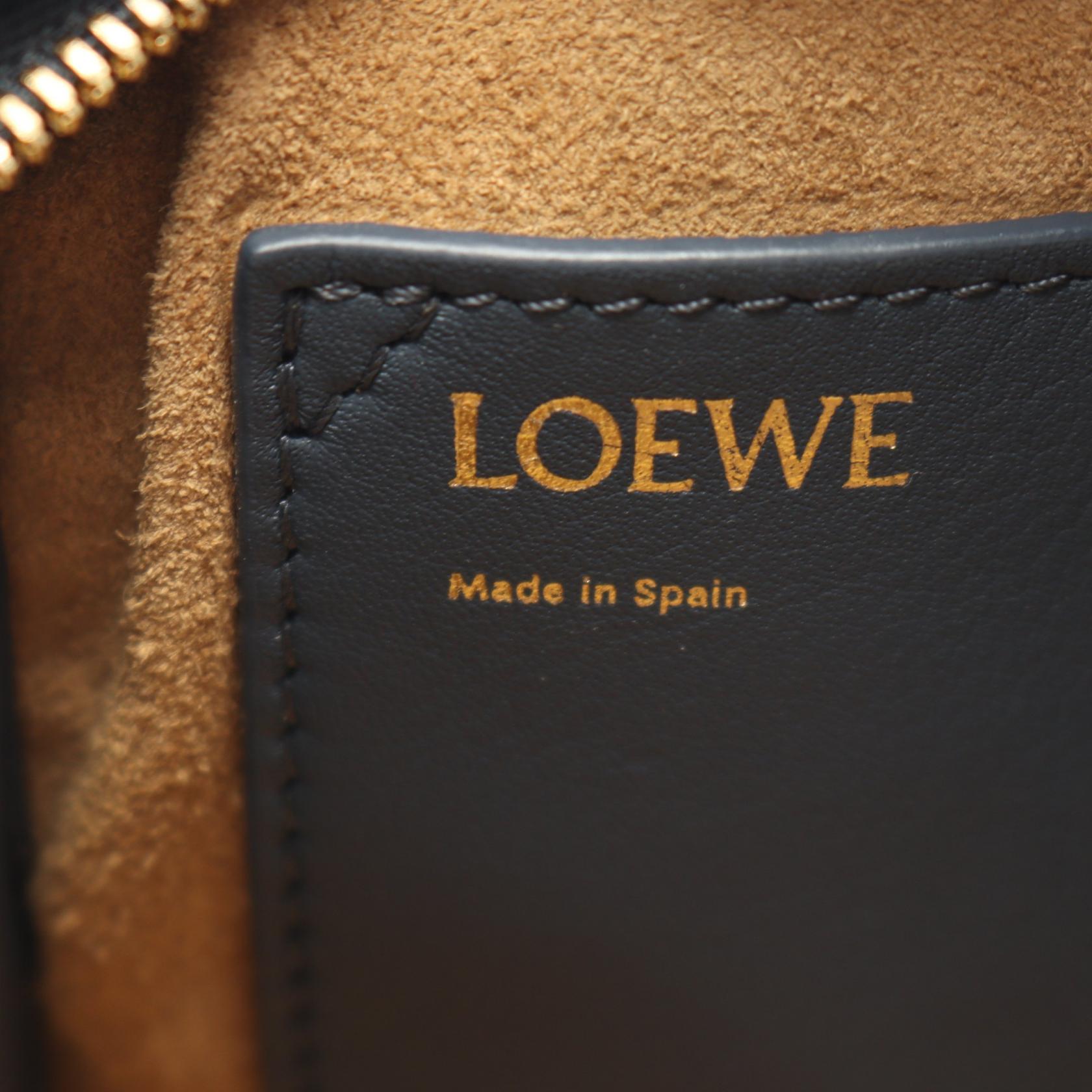 LOEWE Amazona 16 Square Crossbody Shoulder Handbag leather Blue
