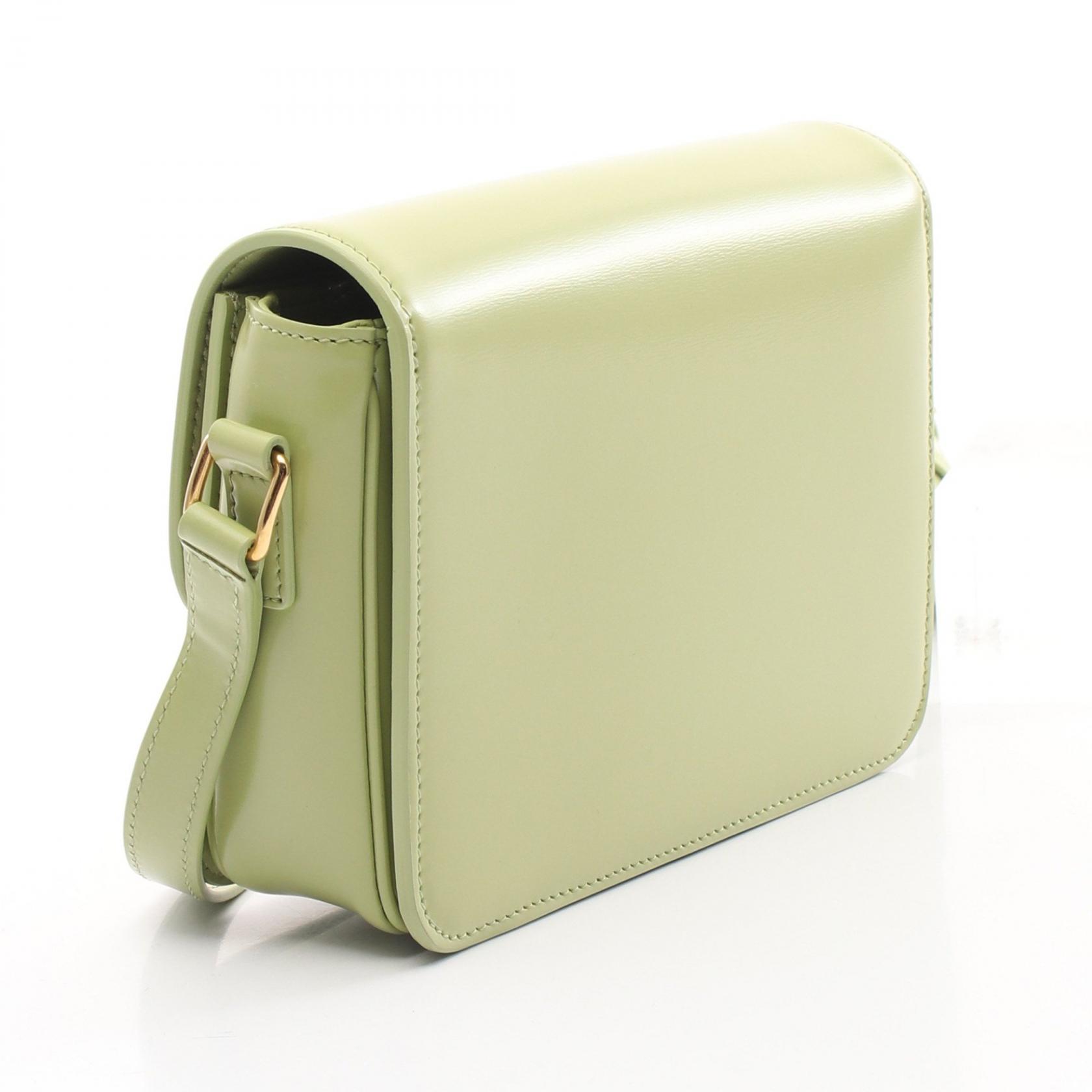 CELINE teen triomphe bag Shoulder crossbody Bag 188423BF4