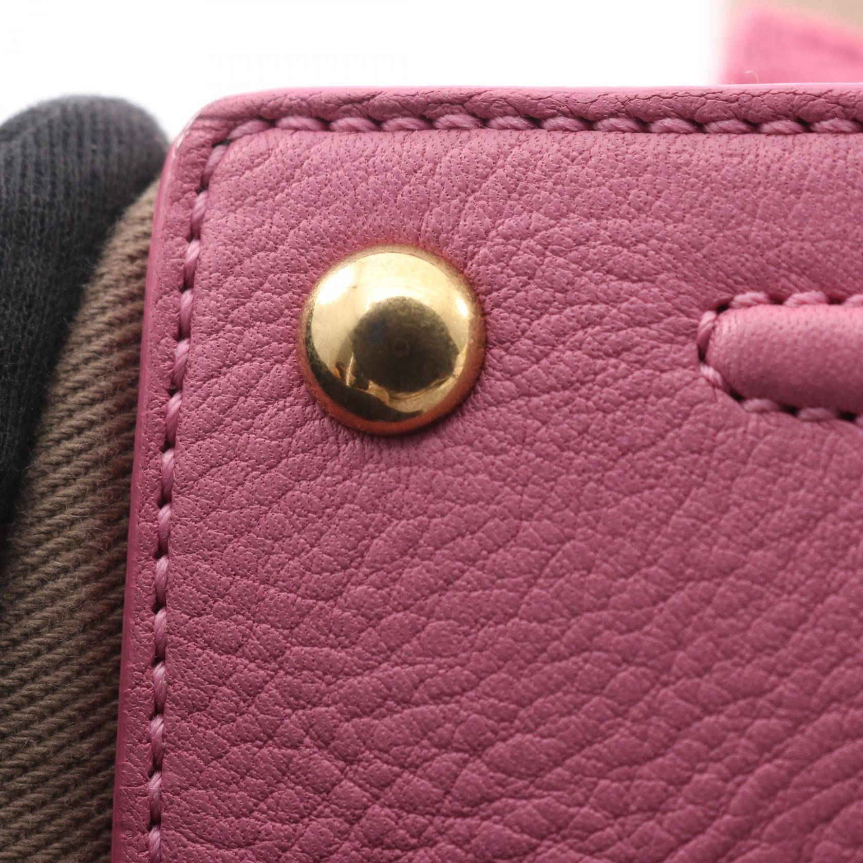 YVES SAINT LAURENT Muse Two Handbag 229680 leather canvas Pink