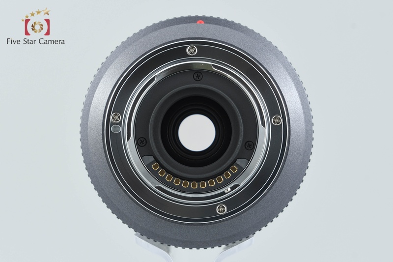 Panasonic LUMIX G VARIO 45-200mm f/4-5.6 MEGA O.I.S. H-FS045200 | eBay