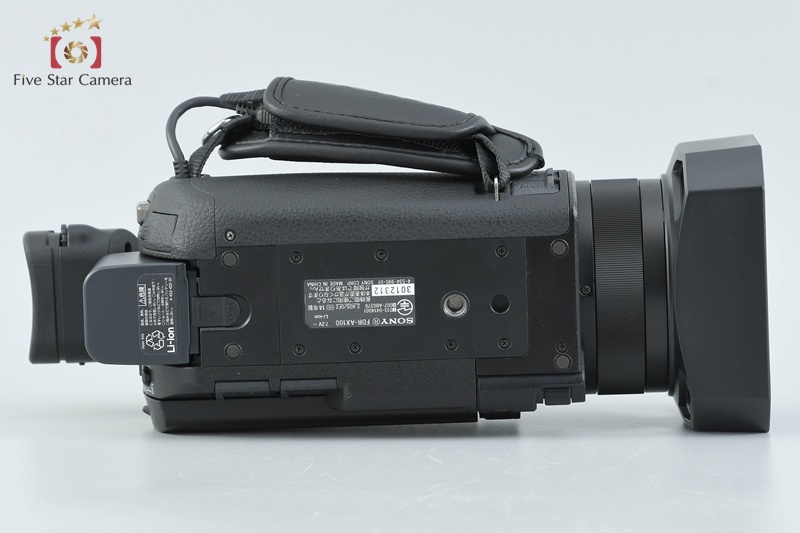 SONY HANDYCAM FDR-AX100 4K Handycam w/ Box [Japanese Language Only