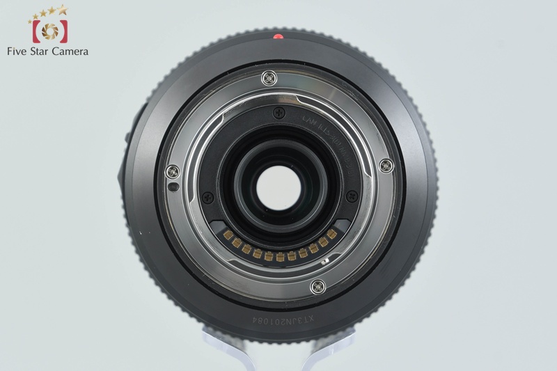 Panasonic LUMIX G VARIO 100-300mm f/4-5.6 POWER O.I.S. H-FSA100300