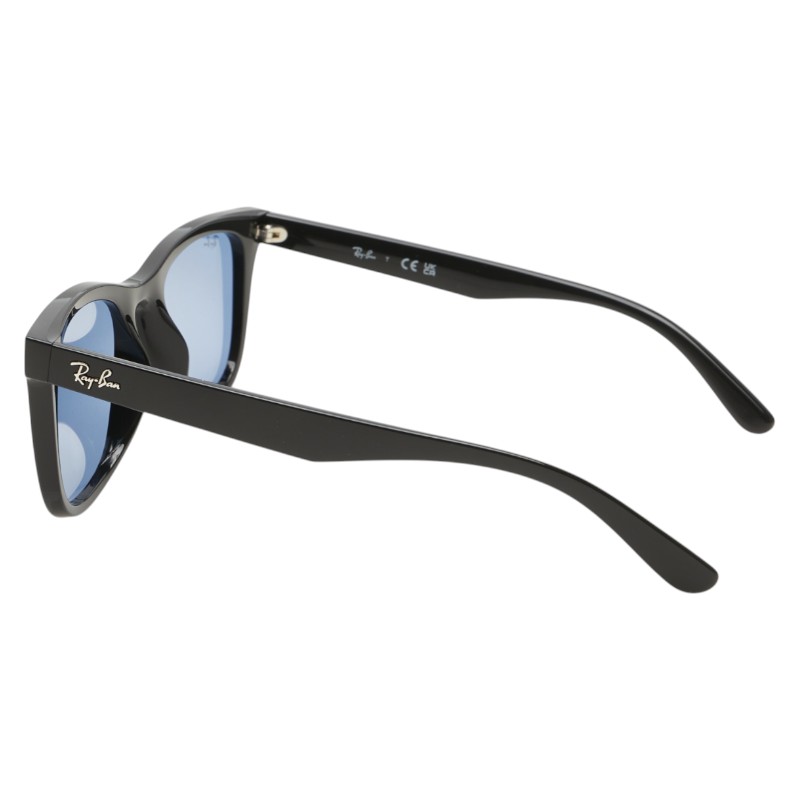 Ray-Ban Asian Fit Wayfarer Wellington sunglasses RB4391D mens