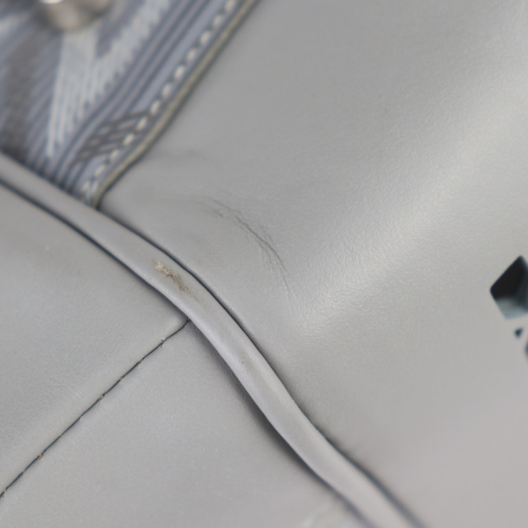 Dior Boston bag 1ESDU035CDP_H42E Hit The Road Pet Carrier Bag CD