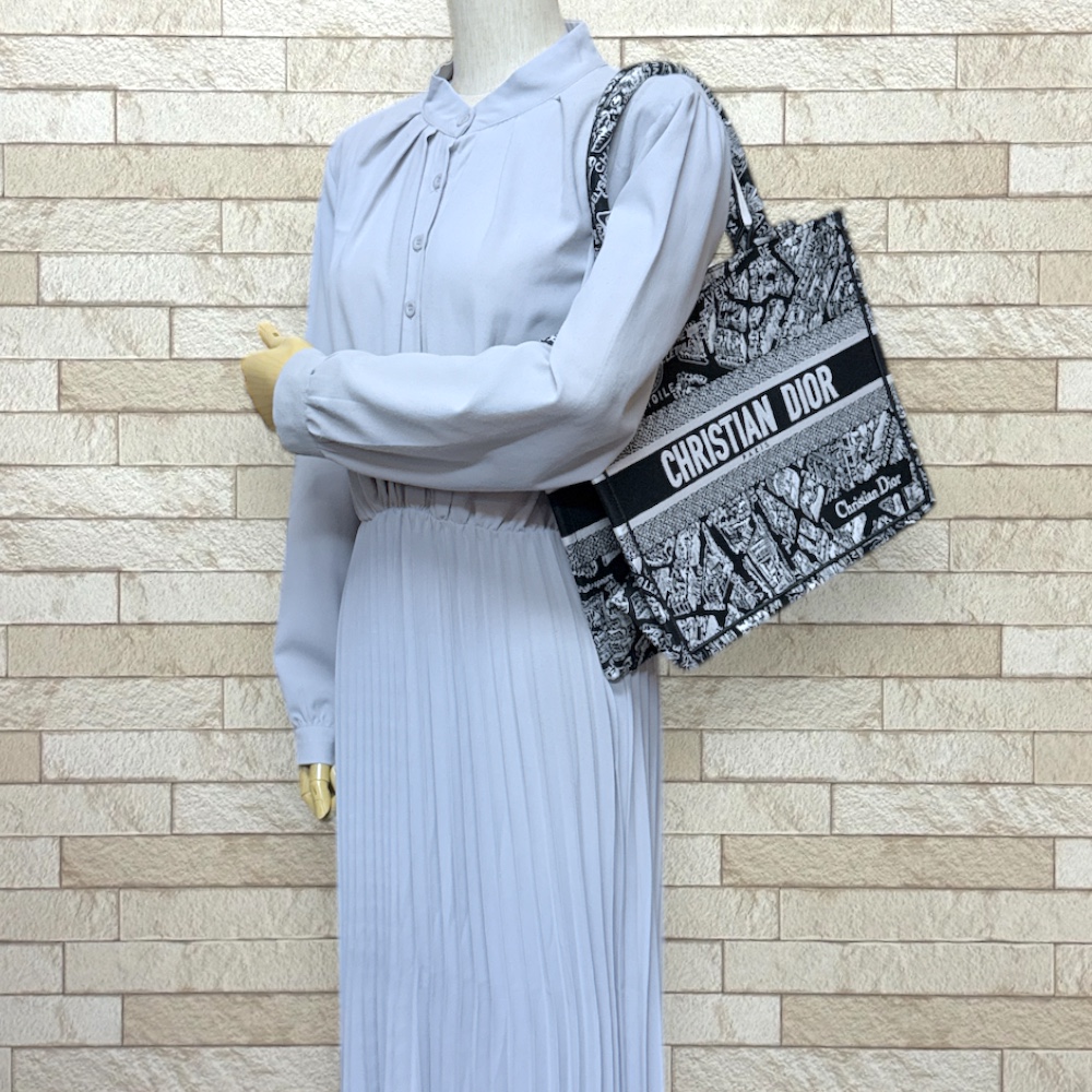 Dior Plan de Paris Tote Bag M1296ZOMP canvas Embroidery Book
