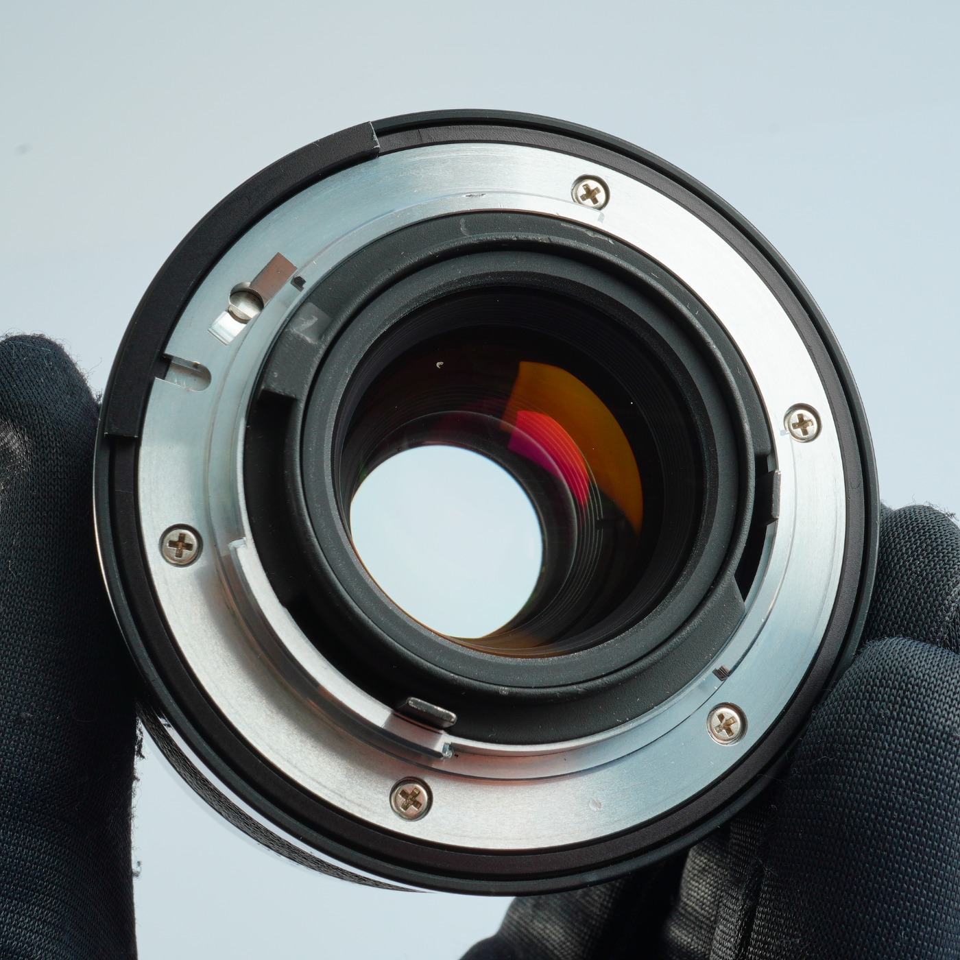 Nikon Z 600mm f4 TC VR S + téléconvertisseur 1,4x - Foto Erhardt
